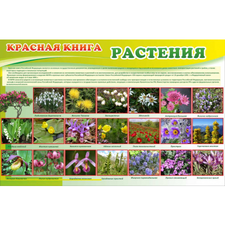 Красная книга Растения